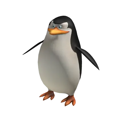 Skipper Suit